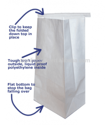 Airline Sanitary Bag/ Hospital Paper Bag