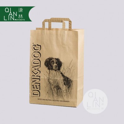 Flat Handle Customized Luxury Kraft Paper Bag with Logo Printing for Pet